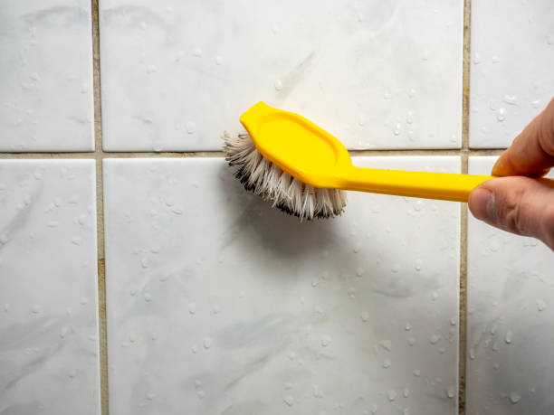 Best Water Damage Restoration  in Madison, IL