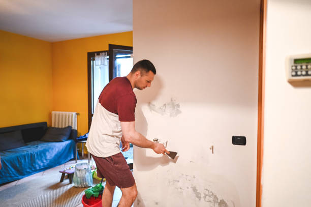 Best Certified Mold Removal  in Madison, IL